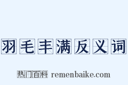 羽毛丰满反义词是什么意思的图片